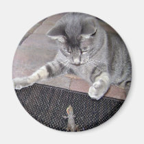 Aimant de chat magnets