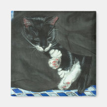 Aimant de chat de smoking de sommeil