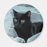 Aimant de chat noir