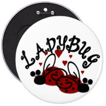 Aimant de coccinelle badges avec agrafe