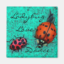 AIMANT DE DANSE D'AMOUR DE COCCINELLE