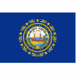 Aimant de drapeau du New Hampshire coupé Photo Sculptures