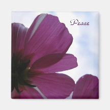 Aimant de fleur de paix