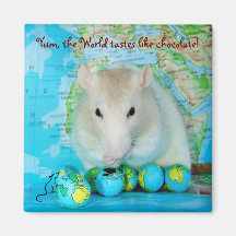 Aimant de jour de rat du monde