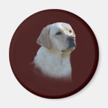 Aimant de labrador retriever