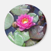 Aimant de Lili de l'eau