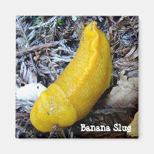 Aimant de lingot de banane