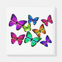 Aimant de papillons
