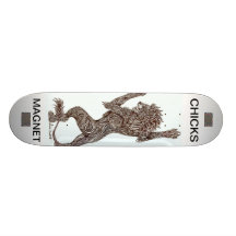 aimant de poussins skateboard