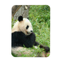 Aimant de prime de panda magnets en vinyle