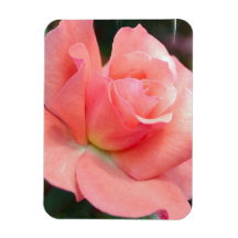 Aimant de prime de rose de rose magnets rectangulaire