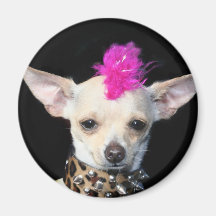 Aimant de punk de chiwawa