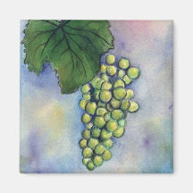 Aimant de raisins de cuve de Chardonnay