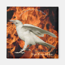 Aimant de RAVEN du FEU