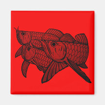 Aimant de réfrigérateur d'Arowana
