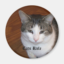 Aimant de règle de chats