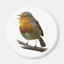 Aimant de Robin