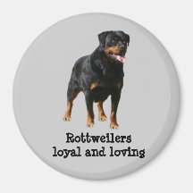 Aimant de rottweiler