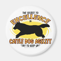Aimant de secret de chien de bétail d'agilité