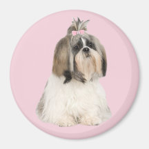 Aimant de Shih Tzu