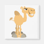 Aimant de sourire de chameau de bande dessinée magnets