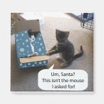 Aimant de surprise de Noël du chaton