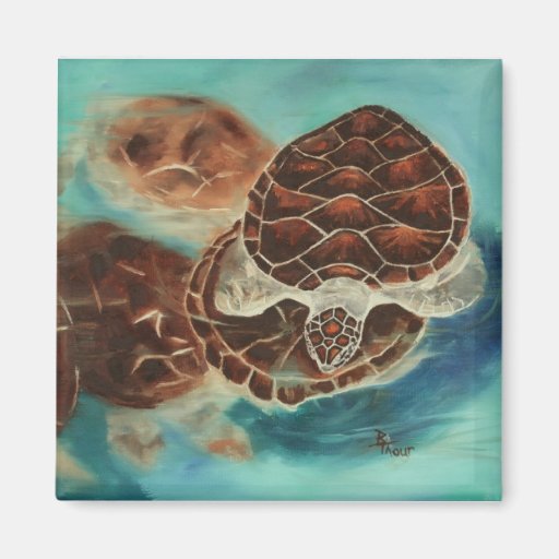 Aimant de temps de tortue