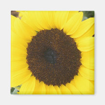 Aimant de tournesol du Kansas