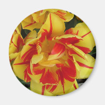 aimant de tulipe