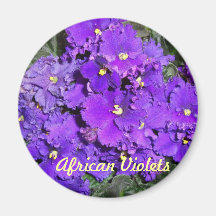 Aimant de violette africaine