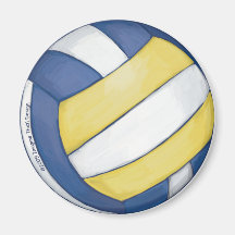 Aimant de volleyball