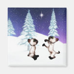 Aimant d'étoile de Noël de chaton
