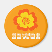 Aimant d'HAWAÏ