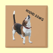 Aimant drôle de chien de beagle de Dawg de chien magnets