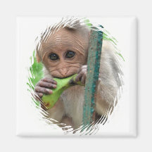 Aimant drôle d'image de singe