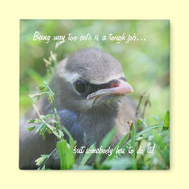 Aimant drôle trop mignon de nature d'oiseau de béb magnets