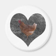 Aimant en forme de coeur de poulet