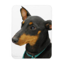 Aimant flexible de Manchester Terrier Magnets Rectangulaire