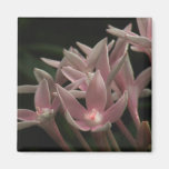 Aimant floral rose de Pentas