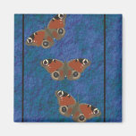 Aimant Graphic2