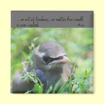 Aimant inspiré de citation de gentillesse d'oiseau magnets