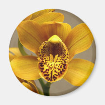 Aimant jaune d'orchidée