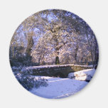 Aimant : Le pays des merveilles d'hiver