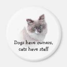Aimant - les chiens ont des propriétaires, chats o