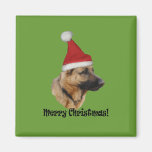 Aimant Noël « chien de berger "