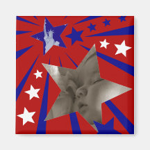Aimant patriotique de cadre de tableau de liberté 