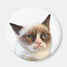 Aimant rond de chat grincheux