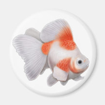 Aimant rond de poisson rouge de Ryukin