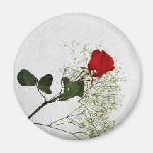 Aimant rose