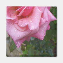 Aimant rose 003